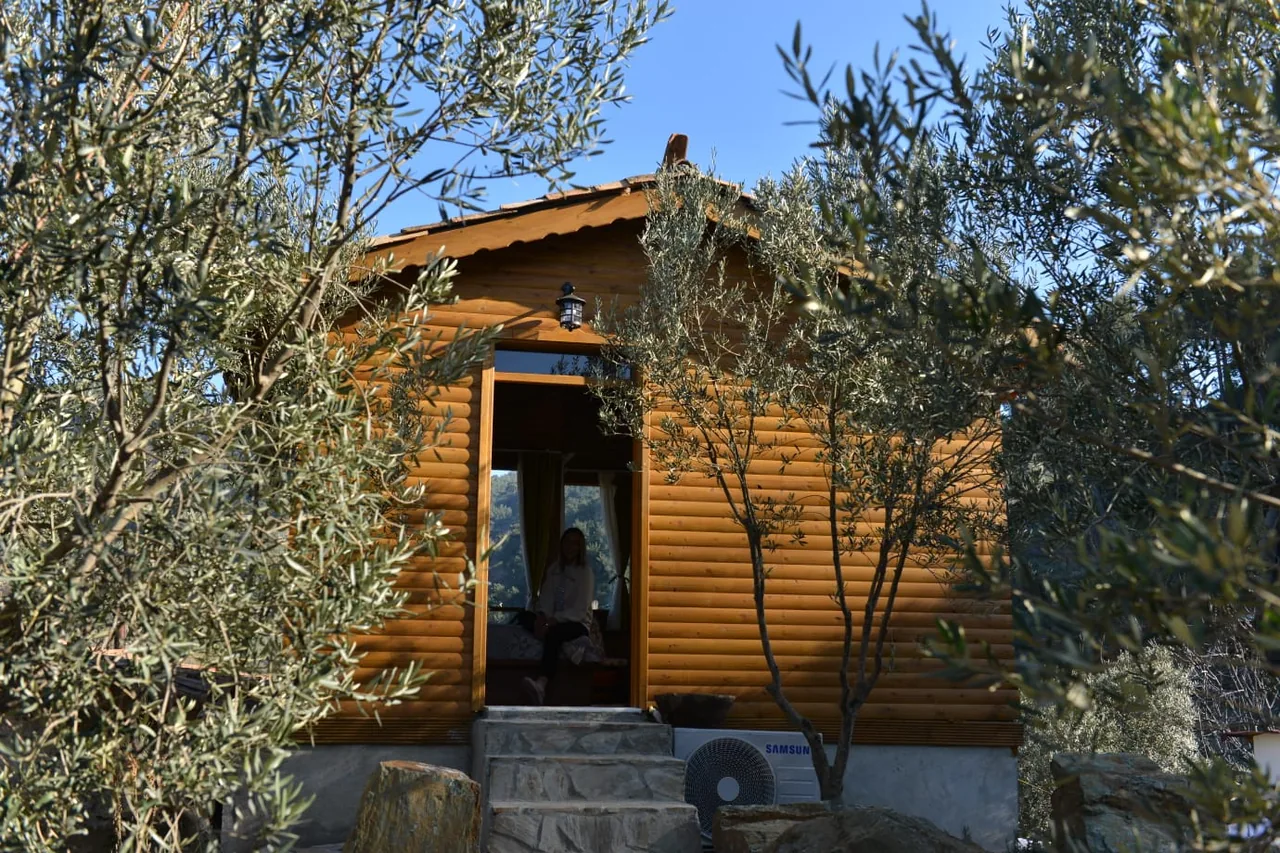 Ağaç Ev’in zeytin ağaçları arasındaki ahşap cephesi ve giriş merdivenleri
