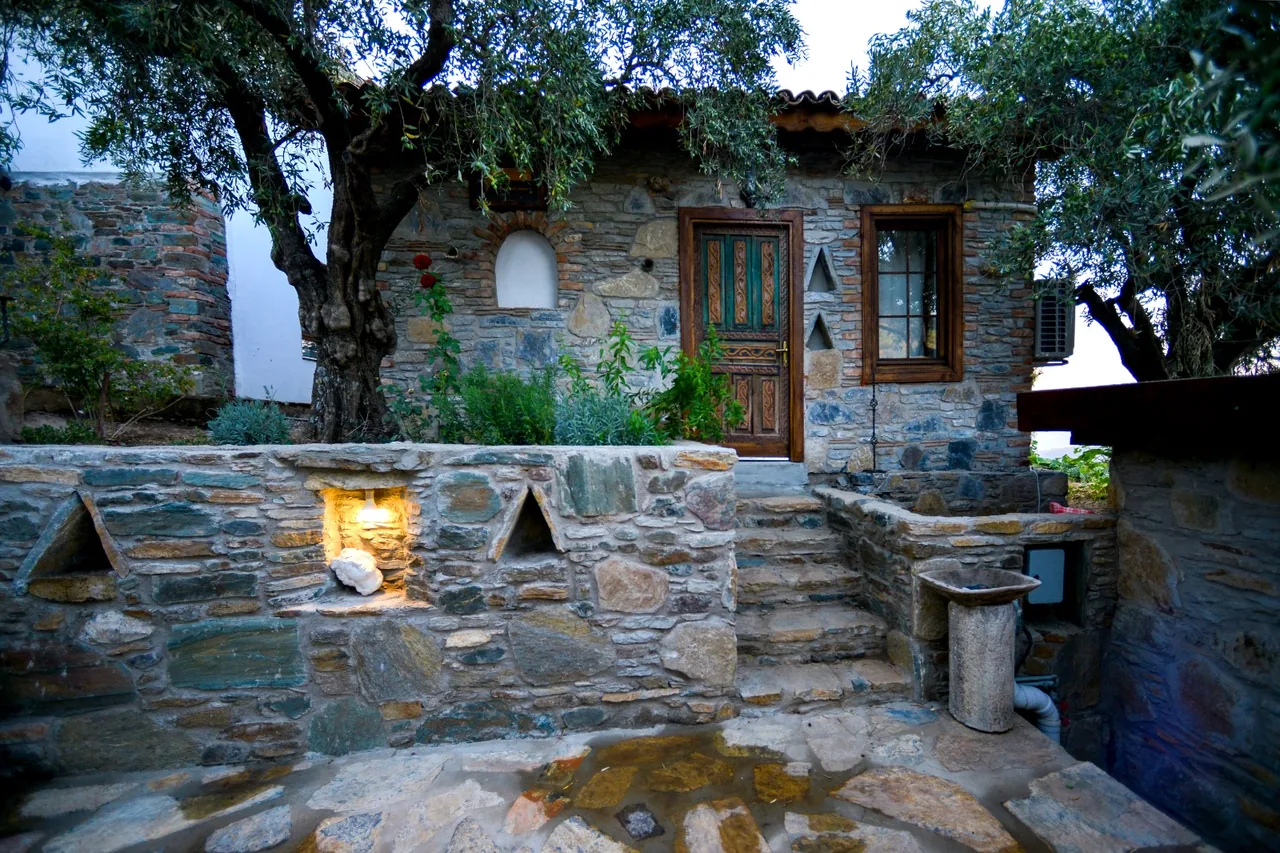 Taş Ev’in zeytin dalları altındaki taş cephesi, ahşap kapısı ve avlusu